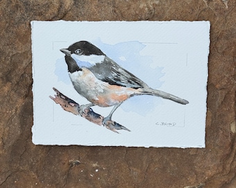 Original  Watercolor Chickadee Painting 5”x7”, Bird Lover Gift, Nature Artwork