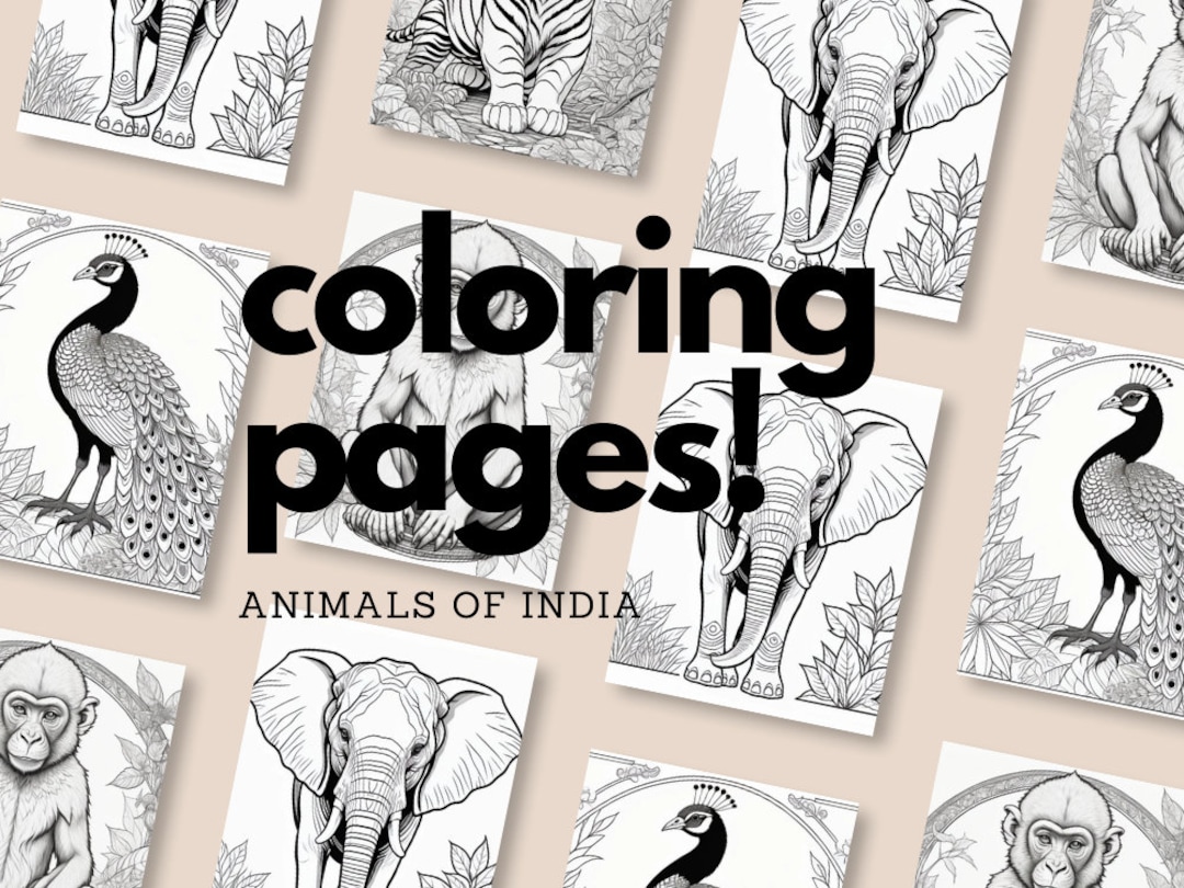 Animals of India Coloring Pages Simple Fun Designs for Adults Etsy UK