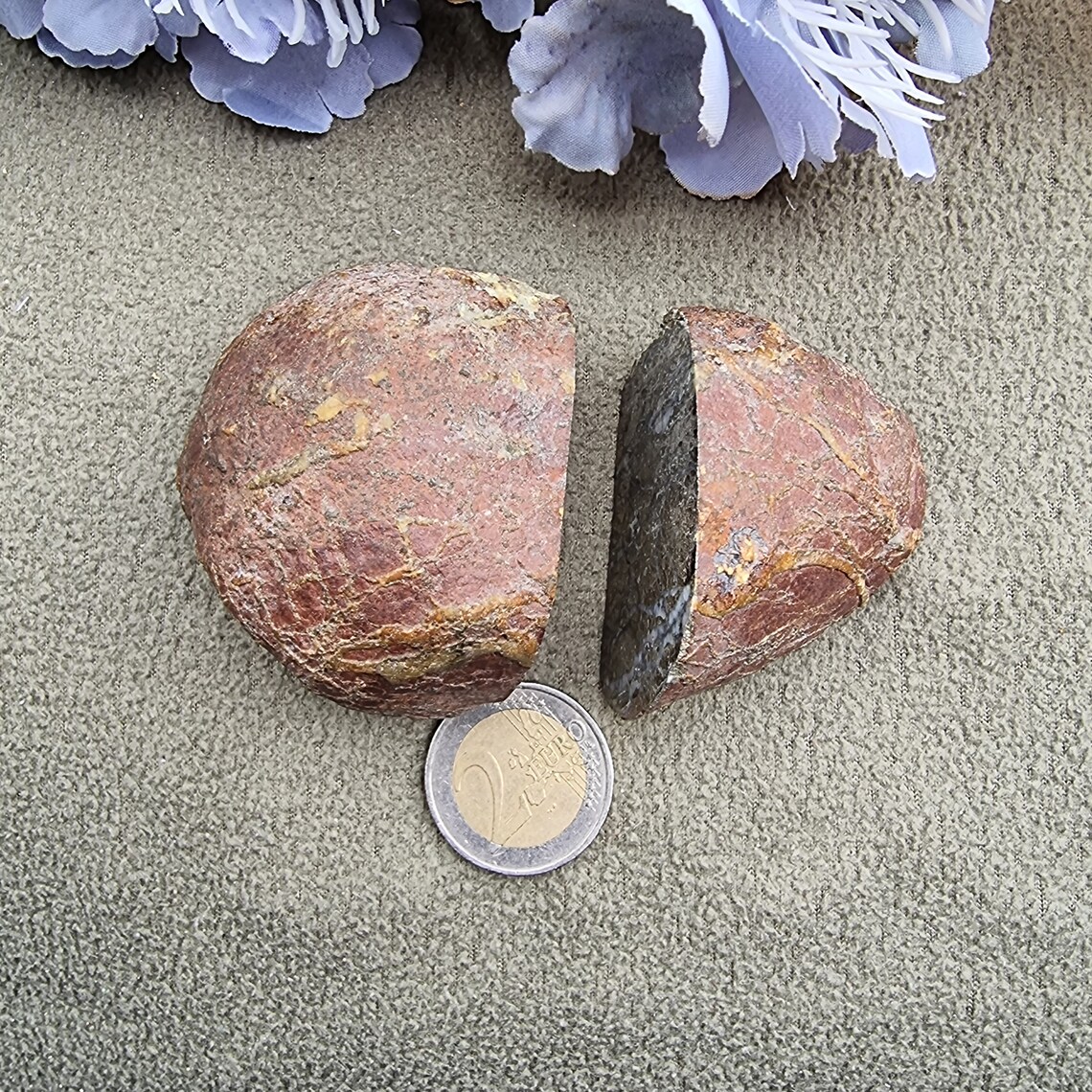 Rare Irish Pyrite Nodule, Pyrite Mineral Specimen From Ireland, IP1 Etsy