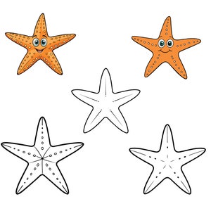 Starfish SVG, Starfish Clip Art, Starfish Cricut svg, Starfish Outline svg