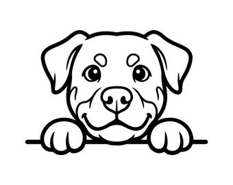 Rottweiler Dog Peeking Over Fence Svg Png - Dog Cut Files for Cricut