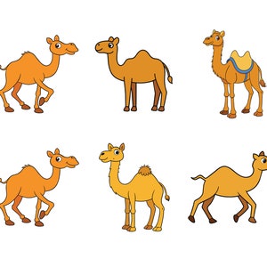 Cammello SVG, ClipArt di cammello, Cammello Cricut SVG, Cammello Contorno SVG