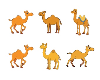 Camel SVG, Camel Clip Art, Camel Cricut svg, Camel Outline svg