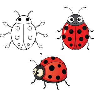 May include: A black and white outline of a ladybug with six legs and a red ladybug with black spots and six legs. A third ladybug is red with black spots and six legs, but is in a different pose.