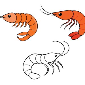 May include: Three cartoon illustrations of shrimp. One shrimp is orange and outlined in black. The other two shrimp are black outlines with no color fill.