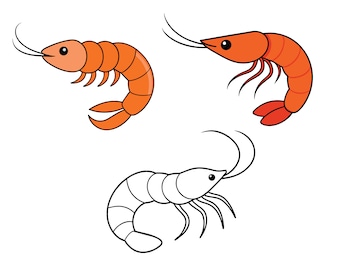 Shrimp SVG, Shrimp Clip Art, Shrimp Cricut svg, Shrimp Outline svg