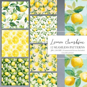 Modèles sans couture d'agrumes | Impressions Lemon Meyer | Papiers numériques | Imprimable | Motifs de sublimation | Arrière-plans de citron