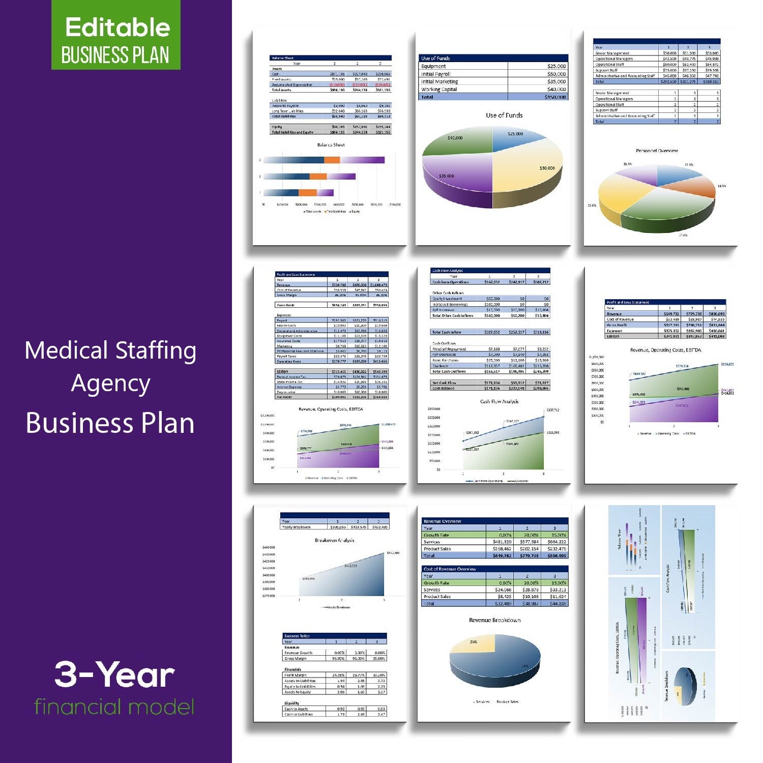 Medical Staffing Agency Business Plan Template