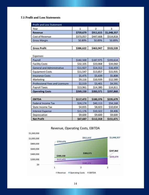 Modello di business plan per il negozio di imballaggio e
