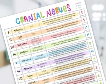 Cranial Nerves Study Guide - Cranial Nerves Cheat Sheet - Cranial Nerves Functions - Cranial Nerves Assessment - Cranial Nerves Review