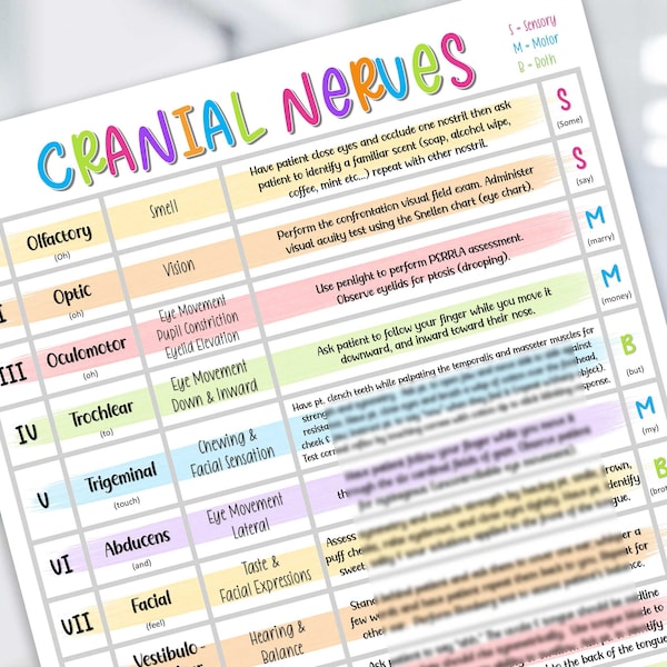 Cranial Nerves Study Guide - Cranial Nerves Cheat Sheet - Cranial Nerves Functions - Cranial Nerves Assessment - Cranial Nerves Review