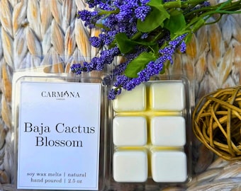 Baja Cactus Blossom Soy Wax Melts | Handmade Home Fragrance | Long Lasting Floral Coconut Scent | Eco-Friendly Gift for Home & Decor