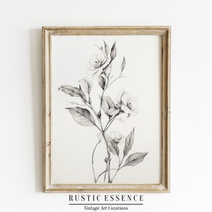 Impressão da arte do esboço da prímula do vintage | Arte de parede antiga neutra | pôster botânico rústico | Decoração minimalista e elegante de fazenda | Arte para impressão