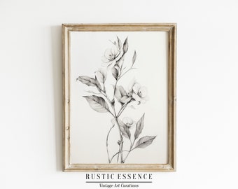 Vintage Primrose Sketch Art Print | Neutral Antique Wall Art | Rustic Botanical Poster | Minimalist Elegant Farmhouse Decor | Printable Art