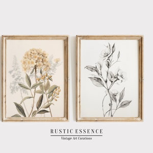 Puede incluir: Dos impresiones bot&aacute;nicas enmarcadas con fondo blanco. La impresi&oacute;n de la izquierda presenta una flor amarilla con hojas verdes. La impresi&oacute;n de la derecha presenta una flor en blanco y negro con hojas verdes. Los marcos son de madera clara con un acabado desgastado. El texto "RUSTIC ESSENCE Vintage Art Curations" est&aacute; debajo de los marcos.