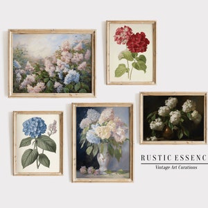 Vintage Hortensie Print Set | Antike botanische Kunst Set | Digitale herunterladbare Blumen-Kunst-Gemälde | Druckbares Florales Bauernhaus Country Set