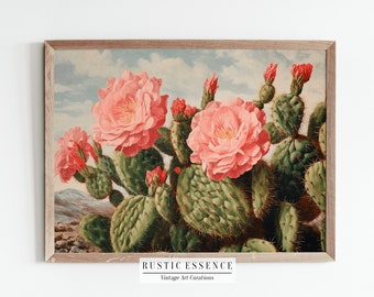 Rustic Flowering Cactus Oil Painting | Antique Botanical Poster | Vintage Cacti Print | Southwestern Aesthetic Farmhouse | Digital Download