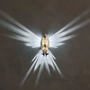 Eagle Wall Light, Eagle Night Light, Eagle Nest
