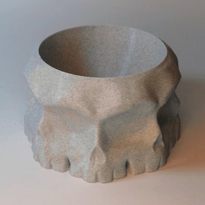 Skull Candy Bowl