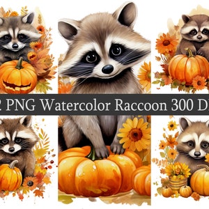 Aquarelle automne raton laveur PNG Clipart Bundle, téléchargement immédiat, mignon raton laveur, autocollants, sublimer les citrouilles d'Halloween