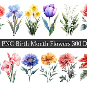 72 flores de acuarela para el mes de nacimiento, clipart, cumpleaños floral, PNG, ilustración de flores para el mes, diario y uso comercial, descarga instantánea