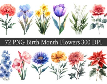 Birth Month Flower Clipart | Birth Flower PNG | Birth Month Flower Bouquet | Mother's Day Gift | Watercolor Birth Month Flowers | Floral
