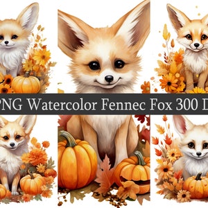 Aquarell Herbst Fennek Fuchs PNG Clipart Bundle, Instant Download, süße Fennek Fuchs, Aufkleber, Halloween Kürbisse sublimieren