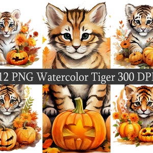 Watercolor Autumn tiger PNG Clipart Bundle, Instant Download, cute fall tiger, Stickers, Halloween pumpkins sublimate