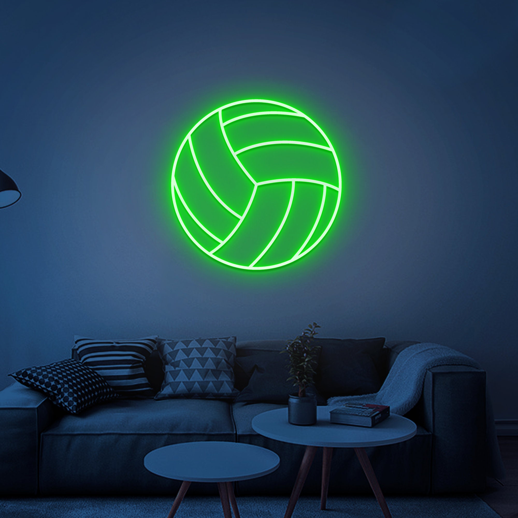 ADVPRO Volleyball Sport Room Display Home Bar Dual Color LED