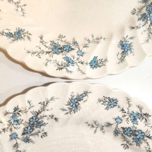 Vintage Myott Staffordshire Forget Me Not 10" Dinner Plates Set Of 2