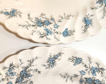 Vintage Myott Staffordshire Forget Me Not 10" Dinner Plates Set Of 2