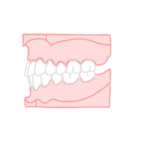 口腔病理学セクション2 - Etsy 日本