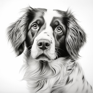 Brittany Dog Fine Line Pet Portrait, Printable commercial dog image for sticker, stencil, logo, tattoo, diy, cricut file, engraving