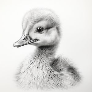 Duckling Fine Line Art: Printable Baby Duck Image (Digital Download)