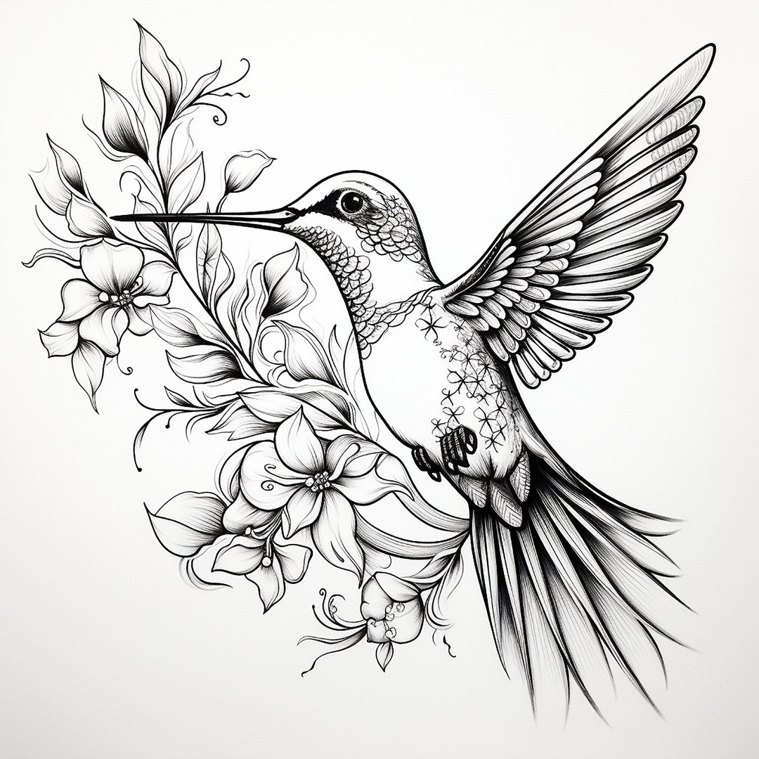 Hummingbird Black Line Stencil, Bird and Flower Clip Art, Wildlife ...