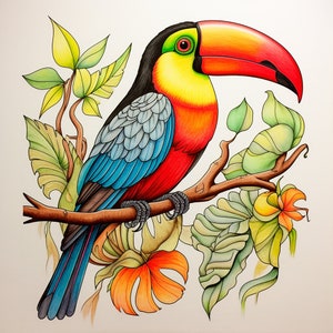 Toucan Clip Art, Printable wildlife animal design  for sticker, stencil, logo, tattoo, woodburning, cricut, diy