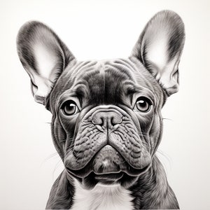 Französische Bulldogge Fine Line Haustier Porträt, Clip Art Illustration für Aufkleber, Schablone, Logo, Tattoo, Wanddeko