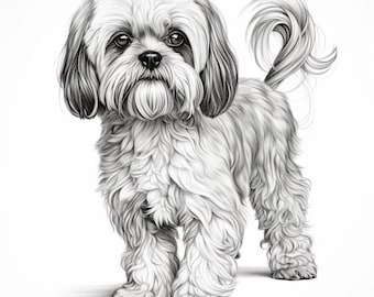 Shih Tzu Fine Line Portrait: Printable Dog Image (Digital Download)