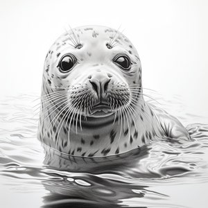 Arctic Seal Portrait, Printable realistic ocean wildlife animal illustration for sticker, stencil, logo, tattoo, decor, cricut, woodburning
