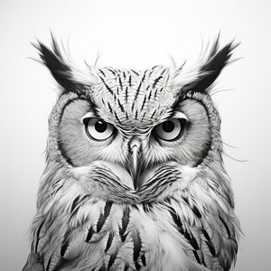 Owl Fine Line Clip Art, Printable wildlife animal portrait for bird sticker, stencil, logo, tattoo, wall art, vector, woodburning, cricut di
