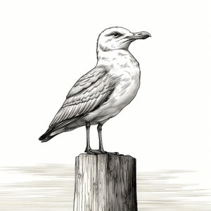 Mewa Cienka Czarna Linia Obraz, Wydrukowana ilustracja ptaka do naklejek, szablonów, logo, tatuaży, dekoracji, DIY, Cricut, grawerowania