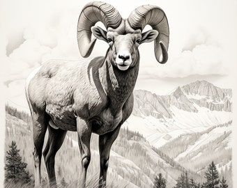 Può includere: Un'illustrazione a matita in bianco e nero di una pecora delle Montagne Rocciose in piedi in un campo erboso. La pecora presenta grandi corna ricurve e un manto strutturato. Sullo sfondo, pini e una catena montuosa con neve.