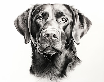 May include: A black Labrador Retriever dog with a serious expression, looking directly at the viewer. The dog's fur is detailed with shading, and its eyes are large and dark.