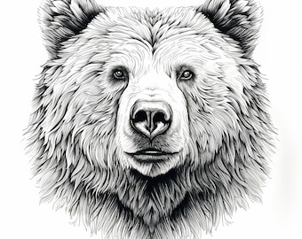 Grizzly Bear Clip Art: Wildlife Stencil Image (PNG, JPEG)