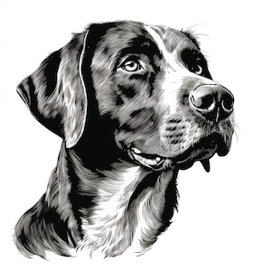 May include: Black and white illustration of a dog's head. The dog has a short, smooth coat and is looking to the right. The dog's ears are floppy and its nose is pointed.