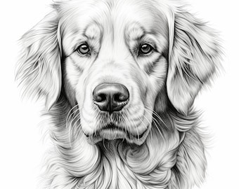 Golden Retriever Pet Portrait, Dog Clip Art for Printable coloring page stencil sticker tattoo decal, woodburning, cricut