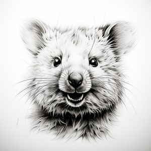 Smiling Quokka Clip Art Illustration, fine line wildlife animal portrait, printable coloring page, sticker, stencil, drawing, tattoo