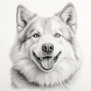 Akita Fine Line Pet Portrait, druckbare Hund Clip Art für realistische Färbung Seite, Aufkleber, Schablone, Logo, Tattoo, Cricut, Aufkleber, Kunsthandwerk