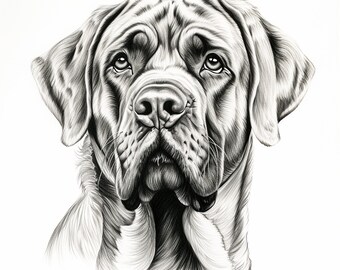 Peut inclure: Dessin au crayon détaillé d'un visage de chien, probablement un mastiff, en niveaux de gris. L'œuvre présente des ombrages complexes, soulignant les rides, la fourrure et les yeux expressifs du chien. La tête du chien est centrée sur un fond blanc uni.