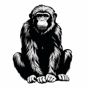 Op de afbeelding: Een zwart-wit grafische illustratie met hoog contrast van een chimpansee die in een voorwaartse positie zit. Het kunstwerk bevat gedetailleerde lijnen om de vachtstructuur, gelaatstrekken en handen van de primaat tegen een effen achtergrond te definiëren.